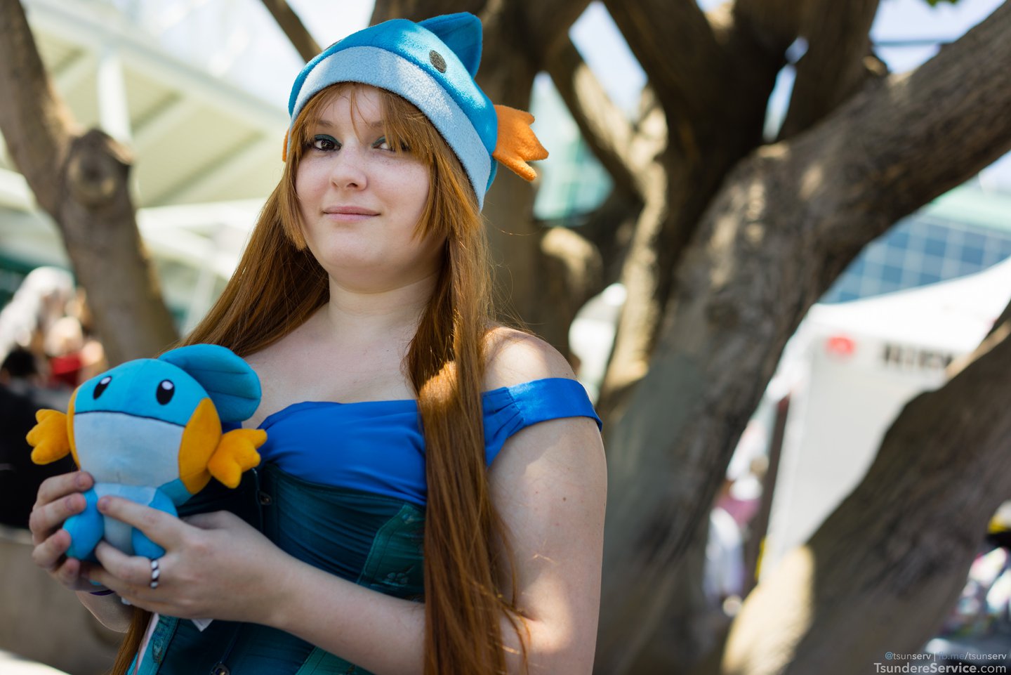 ax2015-2803.jpg